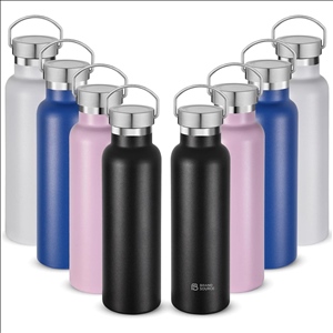 20oz Insulated Water Bottles,Stainless Steel Double Wall Sport Bottle with Lid of Handle
